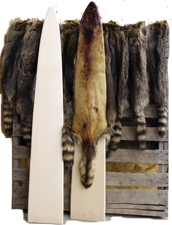 Raccoon Wooden Stretcher Boards wsb01